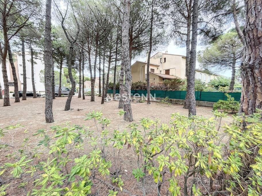 2980-Appartement 1 Ch A 100M De La Mer Argelès-sur-Mer Εξωτερικό φωτογραφία