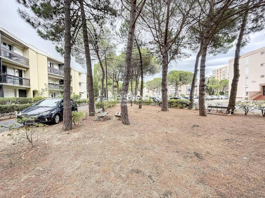 2980-Appartement 1 Ch A 100M De La Mer Argelès-sur-Mer Εξωτερικό φωτογραφία